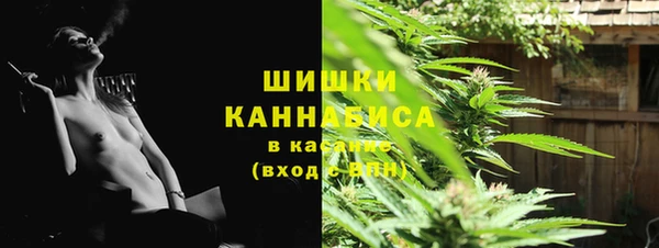 амф Аркадак