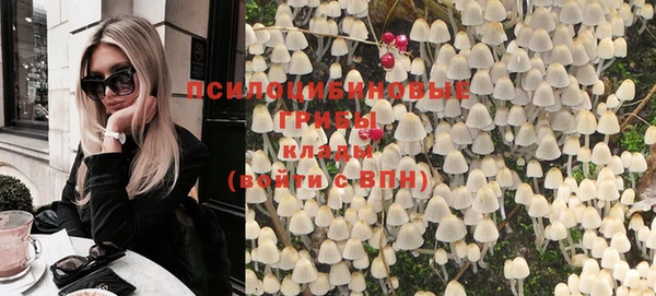 эйфоретик Арсеньев